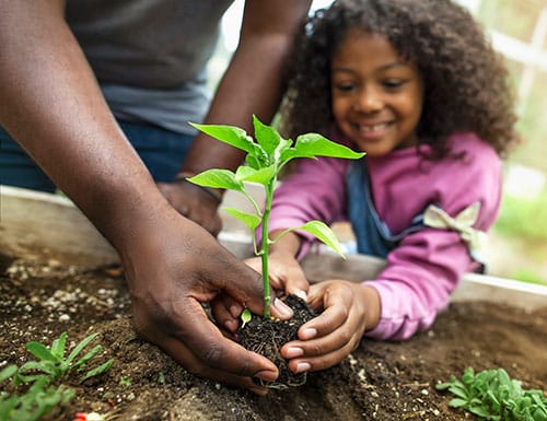 African American girl holding a plant with her father